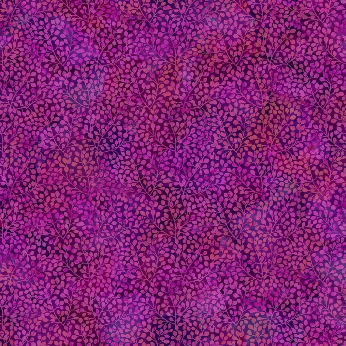 Dragonfly Dance Foliage Purple