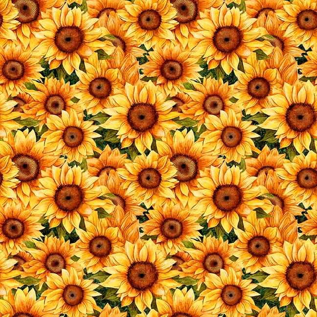 Packed Sunflowers Green