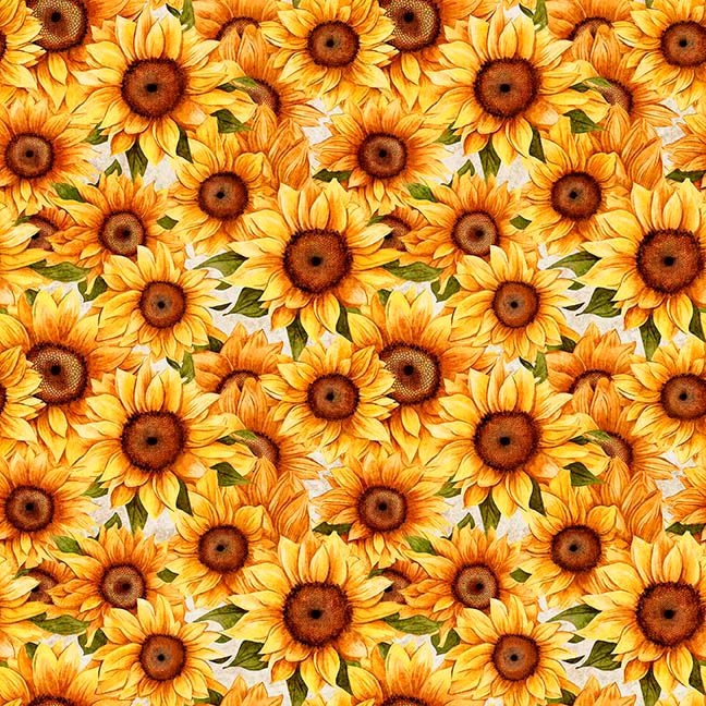 Packed Sunflowers White