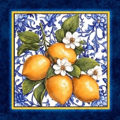 Lemon & Tiles Picture Patch Panel - Image 8